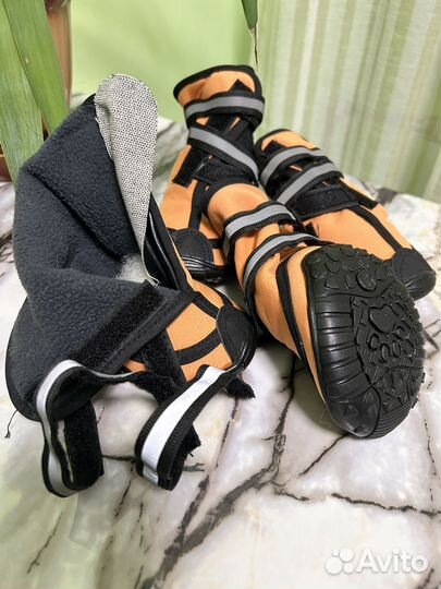 Ботинки для собак