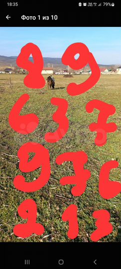 Участок 22,5 сот. (СНТ, ДНП)