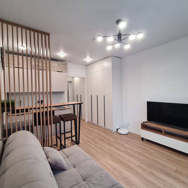 Квартира-студия, 19,8 м², 10/11 эт.