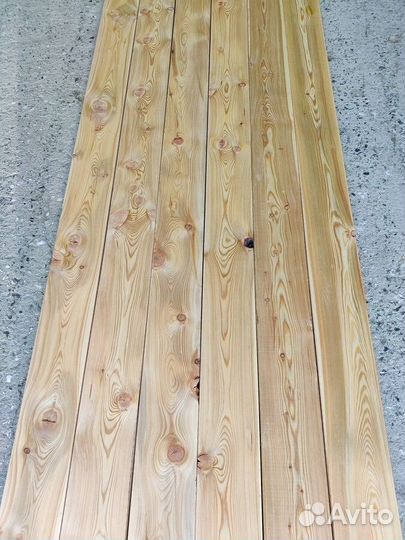 Планкен прямой лиственница