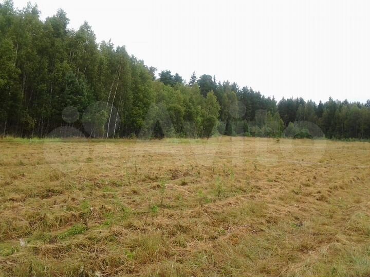 Участок 15,9 сот. (ИЖС)