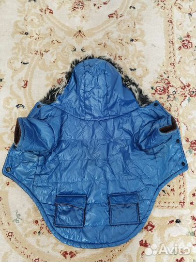 Зимняя куртка для собаки