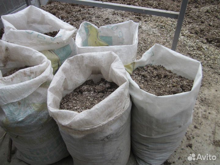 Голубиный помет