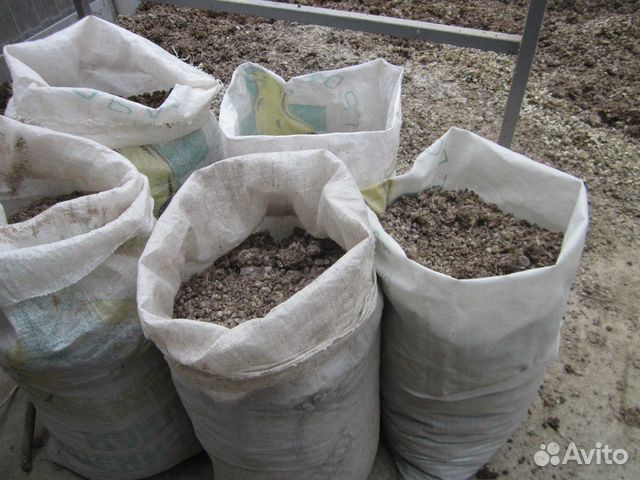 Голубиный помет