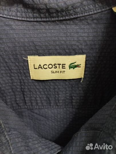 Рубашка мужская Lacoste