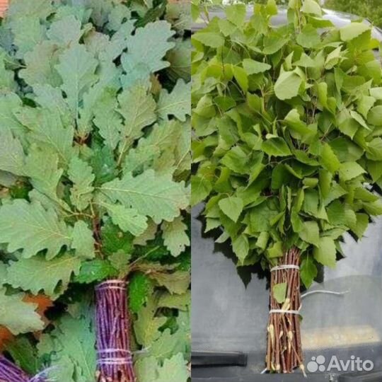 Березовые Дубовые Веники