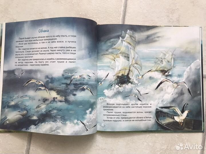 Из жизни одного дерева