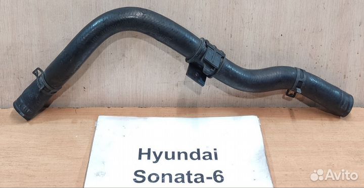 Патрубок радиатора основного Hyundai Sonata 6, 12г