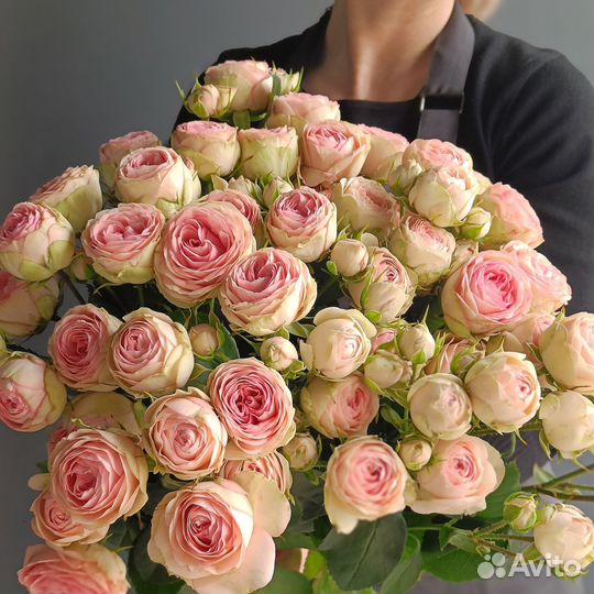 Цветы розы Тюмень