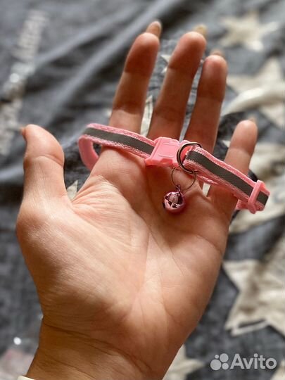 Ошейник 19-32 см для кошек и маленьких собак