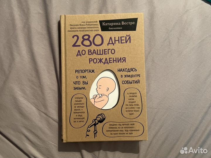 280 дней до вашего рождения
