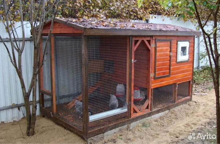 Курятник, вольер