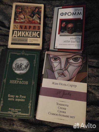 Книги (в основном философия и русская классика)