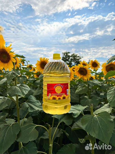 Масло подсолнечное оптом от завода