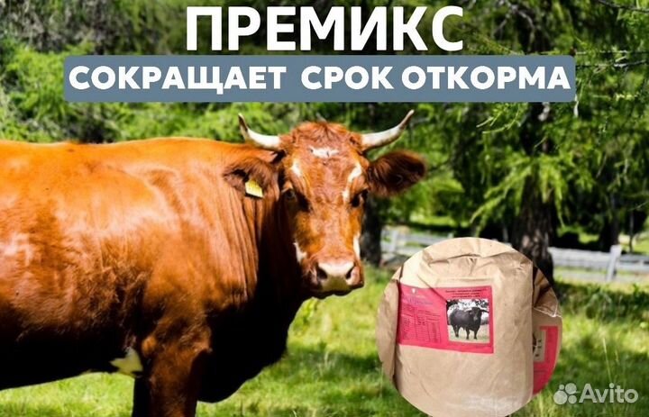 Премикс для крс