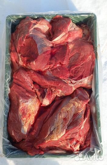Мясо говядина