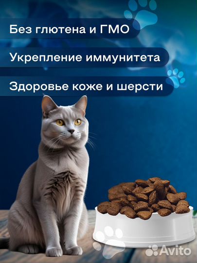 Сухой корм для взрослых кошек Shelly Delicate 8кг