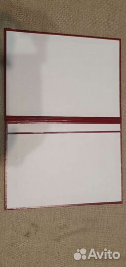 Папка Выпускник 40шт