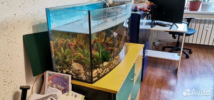Аквариум 100 литров