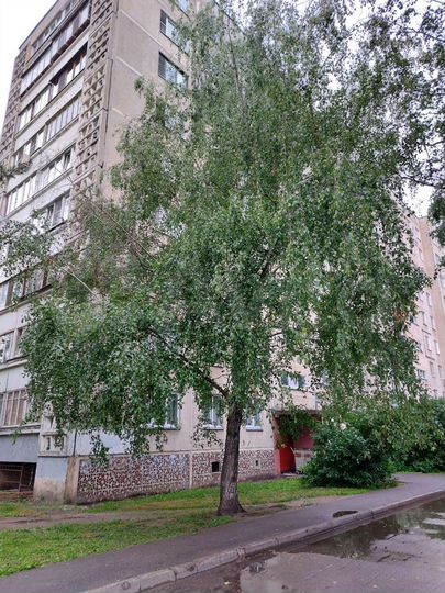 1-к. квартира, 33 м², 4/9 эт.