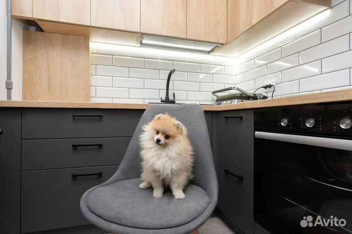 Цена за всю кухню. Кухня угловаяCN:021560