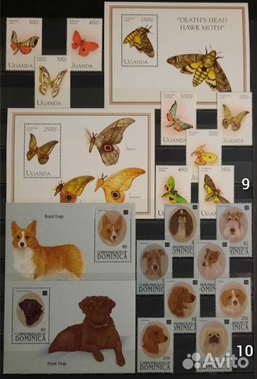 Коллекция редких марок Фауна 2 (чистые )