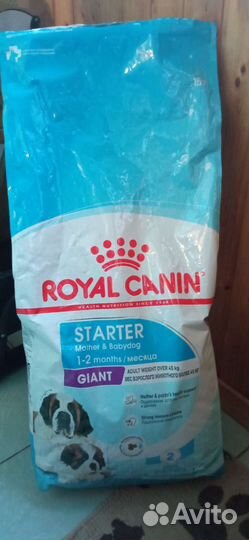 Royal canin giant puppy 8-9 кг открытый (было 15)