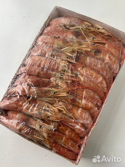 Лангустины креветки
