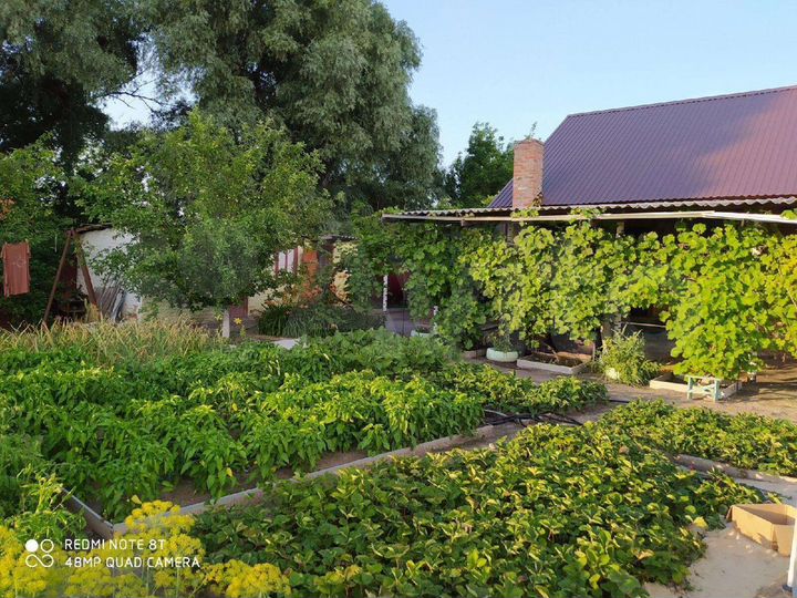 Дом 58,2 м² на участке 12,7 сот.