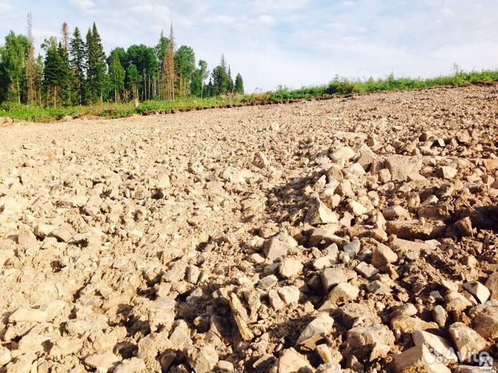 Скальный грунт