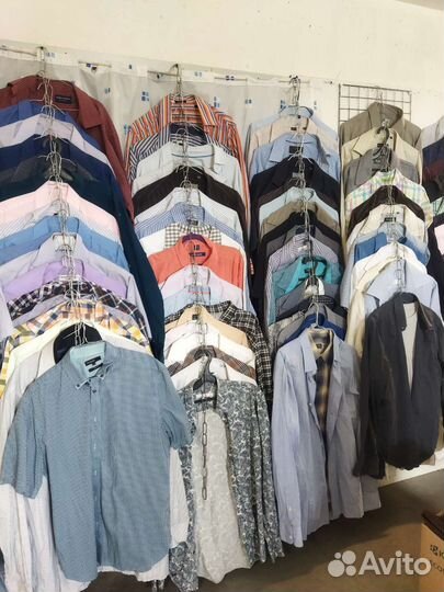 Женская одежда