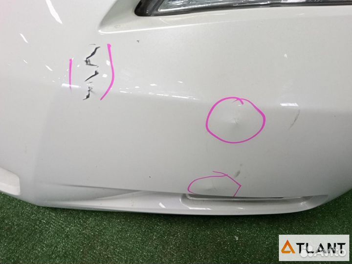 Nose cut toyota camry