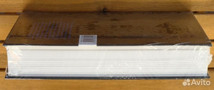 Достоевская А.Г. Федор Достоевский. Воспоминания