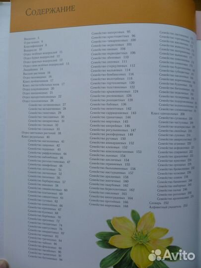 Книги Минералы России и Энциклопедия Растения