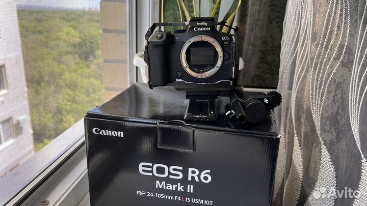 Canon eos r6 mark ii body