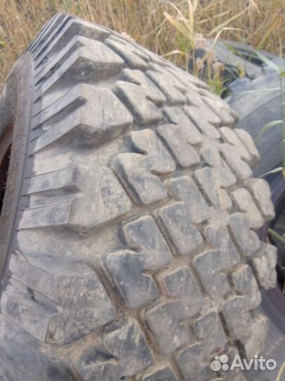 Шины 1300*530-533 лаптежник