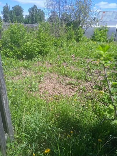 Дом 38 м² на участке 24 сот.