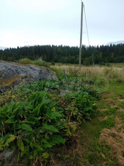 Дом 48,9 м² на участке 15 сот.