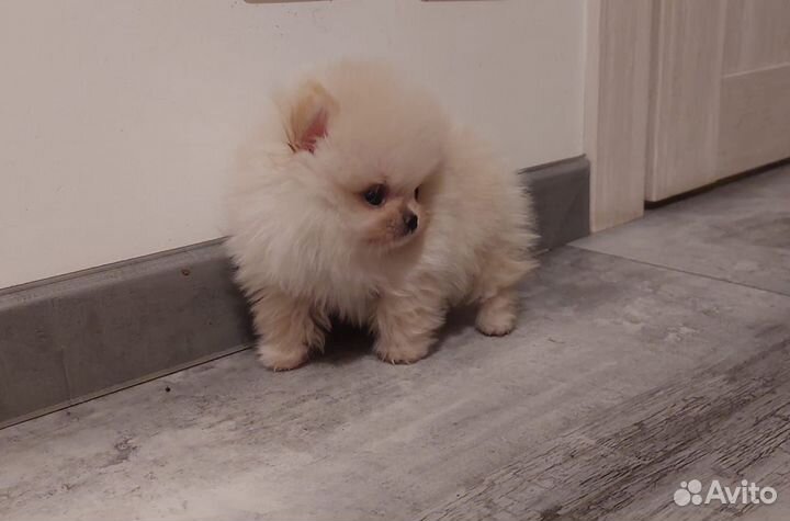 Облачко Девочка