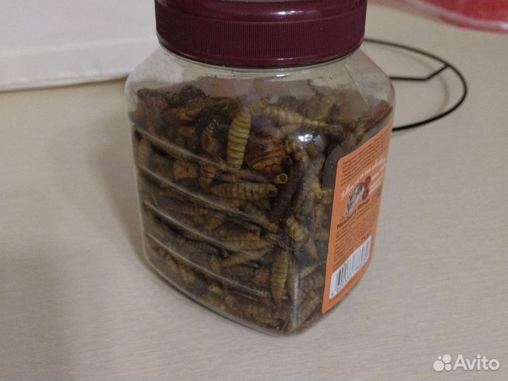 Смесь насекомых