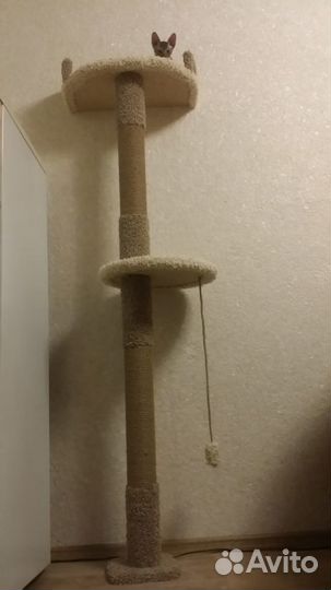 Домики, и когтедралки, туннели, лежачки