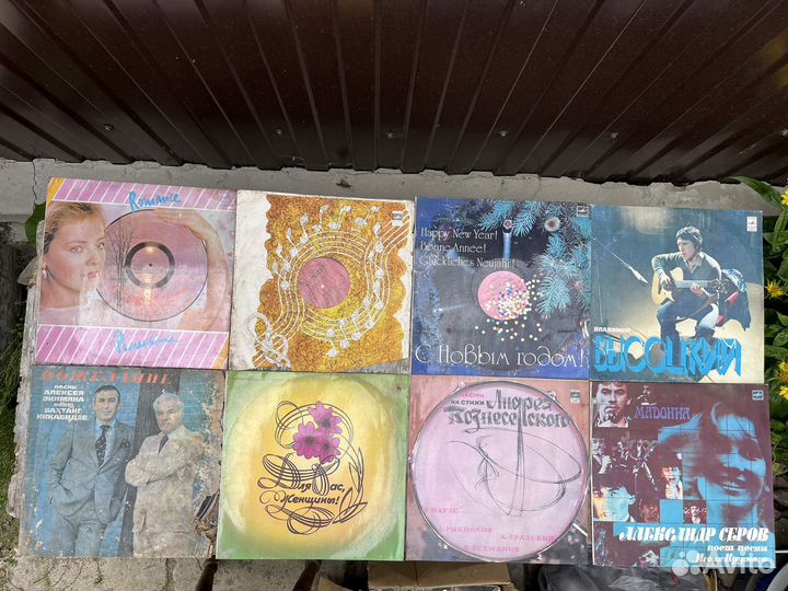 Виниловые пластинки