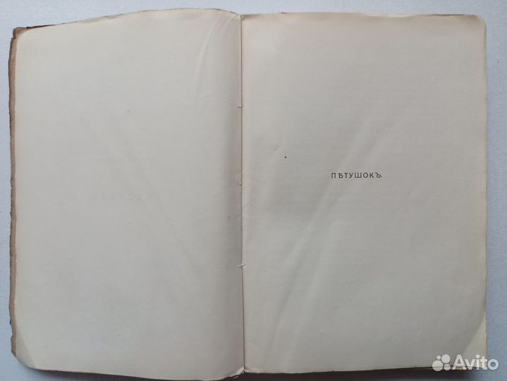 Алексей Ремизов Подорожие 1913 год