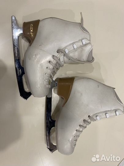 Фигурные коньки edea motivo