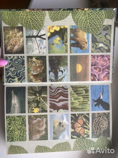 Книга по биологии