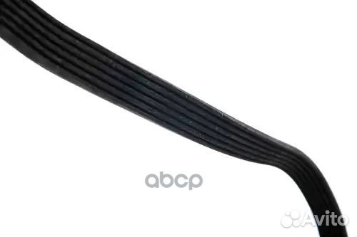 Ремень поликлиновой 6pk1538 bmw zentparts 1059