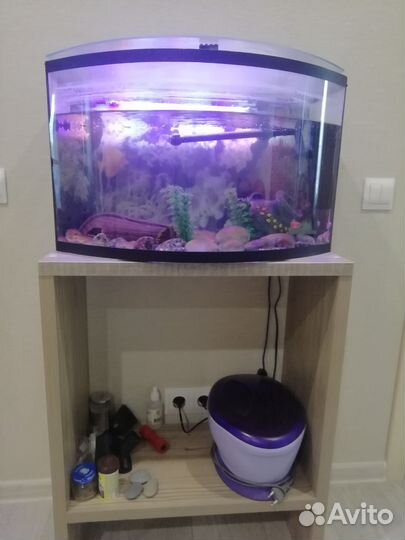 Аквариум
