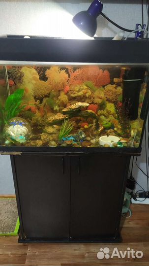 Аквариум с тумбой 100 литров