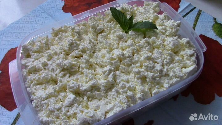 Молочные продукты