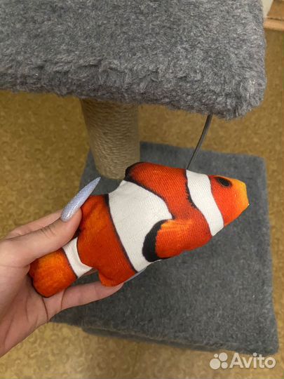 Когтеточка